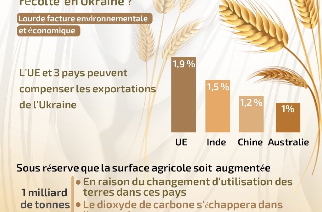 Infographie- Sécurité alimentaire : quel impact d’un probable échec de la prochaine récolte  en Ukraine?