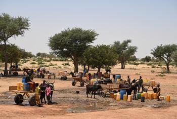 Enfants Exposés à une Chaleur Intense : Le Mali, le Niger et le Sénégal en Première Ligne